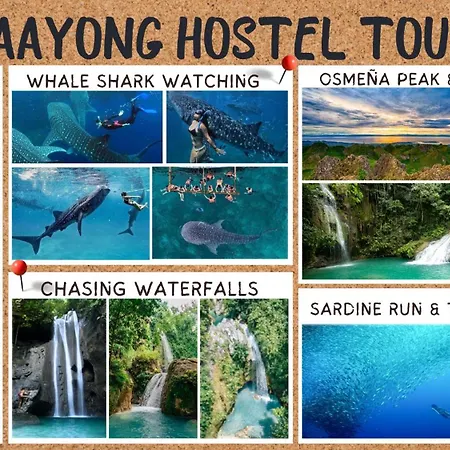 Maayong Hostel (Adults Only) Moalboal Exterior photo
